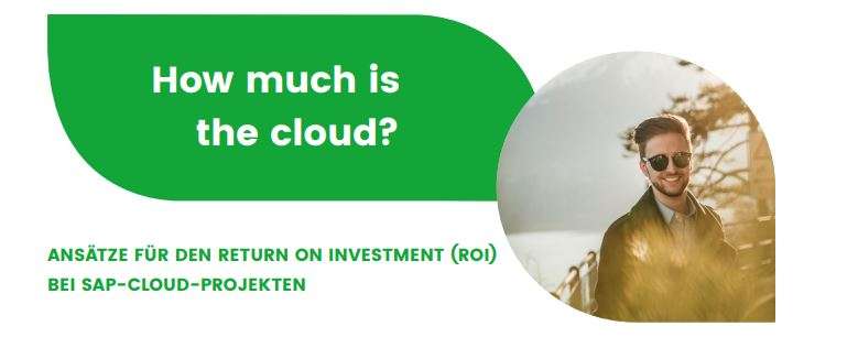 Masterarbeit_How-much-is-the-cloud